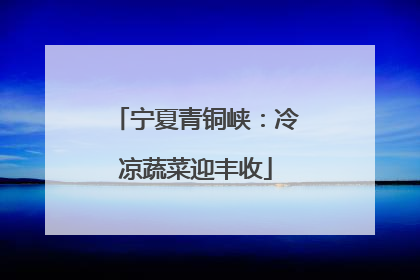 宁夏青铜峡：冷凉蔬菜迎丰收