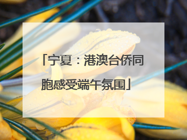 宁夏：港澳台侨同胞感受端午氛围