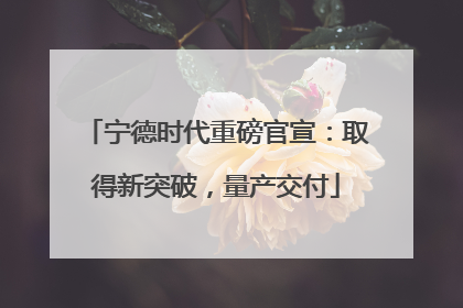 宁德时代重磅官宣：取得新突破，量产交付