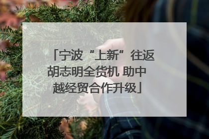 宁波“上新”往返胡志明全货机 助中越经贸合作升级