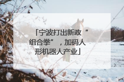 宁波打出新政“组合拳”，加码人形机器人产业