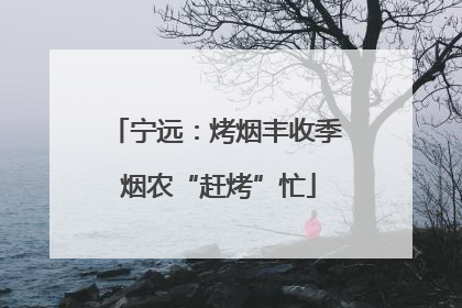 宁远：烤烟丰收季 烟农“赶烤”忙