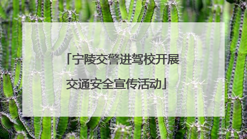 宁陵交警进驾校开展交通安全宣传活动