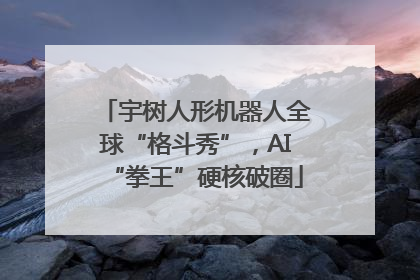 宇树人形机器人全球“格斗秀”，AI“拳王”硬核破圈