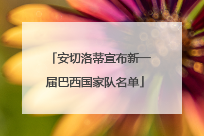 安切洛蒂宣布新一届巴西国家队名单