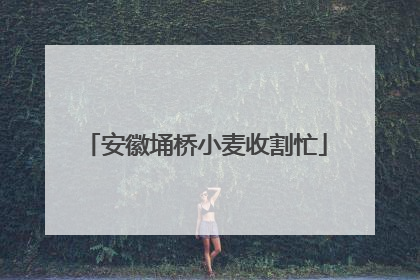 安徽埇桥小麦收割忙