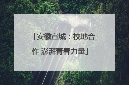 安徽宣城：校地合作 澎湃青春力量
