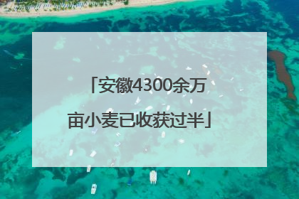 安徽4300余万亩小麦已收获过半