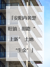 安阳内黄楚旺镇：思路“上新” 土地“生金”