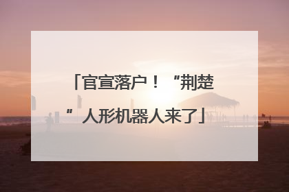 官宣落户！“荆楚”人形机器人来了