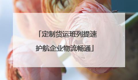 定制货运班列提速 护航企业物流畅通