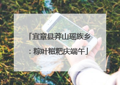宜章县莽山瑶族乡：粽叶糍粑庆端午