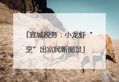 宜城税务：小龙虾“烹”出富民新图景