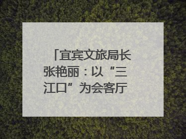 宜宾文旅局长张艳丽：以“三江口”为会客厅，打造近悦远来的国际旅游城市｜文旅局长说