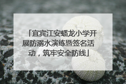 宜宾江安蟠龙小学开展防溺水演练暨签名活动，筑牢安全防线