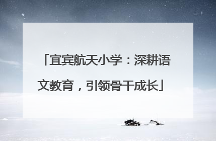 宜宾航天小学：深耕语文教育，引领骨干成长