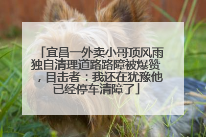 宜昌一外卖小哥顶风雨独自清理道路路障被爆赞，目击者：我还在犹豫他已经停车清障了