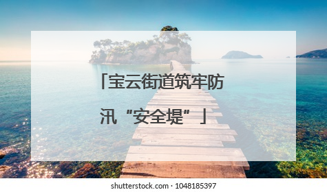 宝云街道筑牢防汛“安全堤”