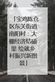 宝鸡陈仓区东关街道南阳村：大棚经济结硕果 绘就乡村振兴新图景