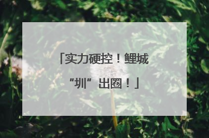 实力硬控！鲤城“圳”出圈！