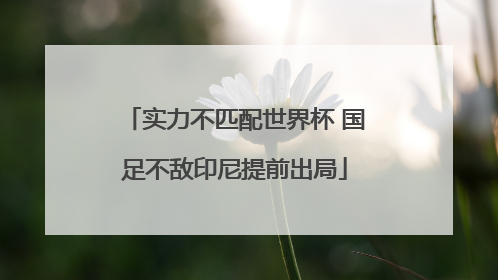 实力不匹配世界杯 国足不敌印尼提前出局