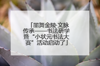 墨舞金陵·文脉传承——书法研学暨“小状元书法大赛”活动启动了