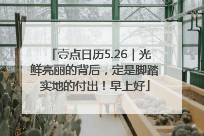 壹点日历5.26｜光鲜亮丽的背后，定是脚踏实地的付出！早上好