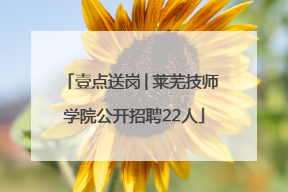 壹点送岗│莱芜技师学院公开招聘22人