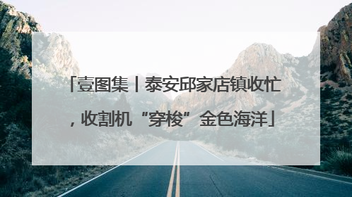 壹图集丨泰安邱家店镇收忙，收割机“穿梭”金色海洋