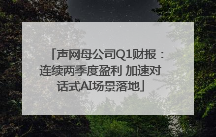 声网母公司Q1财报：连续两季度盈利 加速对话式AI场景落地