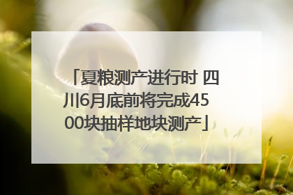 夏粮测产进行时 四川6月底前将完成4500块抽样地块测产