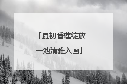 夏初睡莲绽放 一池清雅入画