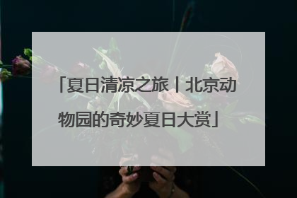 夏日清凉之旅丨北京动物园的奇妙夏日大赏