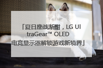 夏日鏖战渐酣，LG UltraGear™ OLED电竞显示器解锁游戏新境界