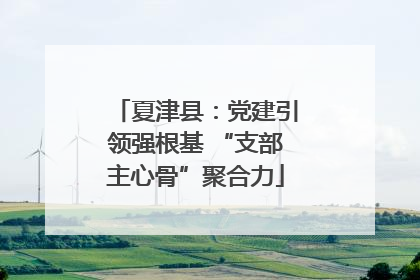 夏津县：党建引领强根基 “支部主心骨”聚合力