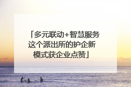 多元联动+智慧服务 这个派出所的护企新模式获企业点赞