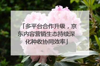 多平台合作升级，京东内容营销生态持续深化种收协同效率