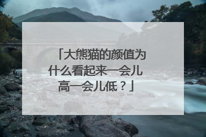 大熊猫的颜值为什么看起来一会儿高一会儿低？