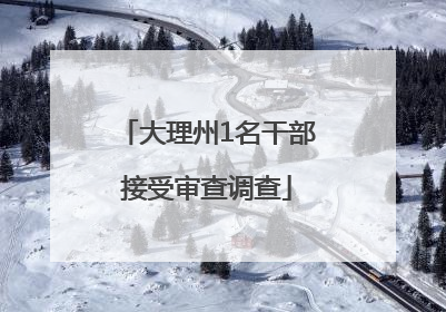 大理州1名干部接受审查调查