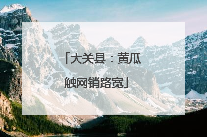 大关县：黄瓜触网销路宽