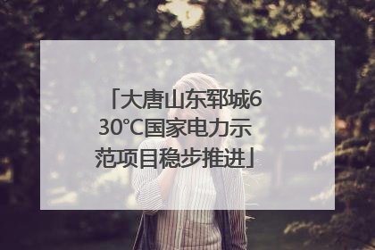 大唐山东郓城630℃国家电力示范项目稳步推进