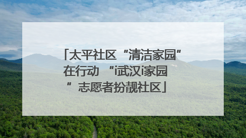 太平社区“清洁家园”在行动 “i武汉i家园”志愿者扮靓社区