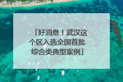好消息！武汉这个区入选全国首批综合类典型案例