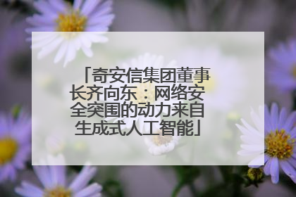 奇安信集团董事长齐向东：网络安全突围的动力来自生成式人工智能