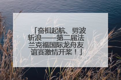 奋楫起航、劈波斩浪——第二届法兰克福国际龙舟友谊赛激情开桨！