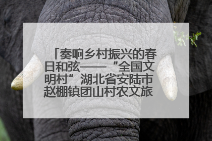 奏响乡村振兴的春日和弦——“全国文明村”湖北省安陆市赵棚镇团山村农文旅融合发展见闻