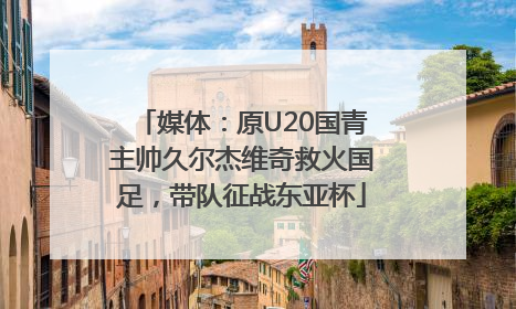 媒体：原U20国青主帅久尔杰维奇救火国足，带队征战东亚杯