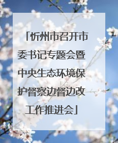 忻州市召开市委书记专题会暨中央生态环境保护督察边督边改工作推进会