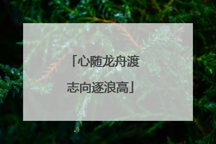 心随龙舟渡 志向逐浪高