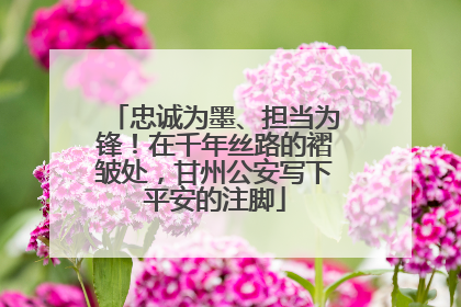 忠诚为墨、担当为锋！在千年丝路的褶皱处，甘州公安写下平安的注脚
